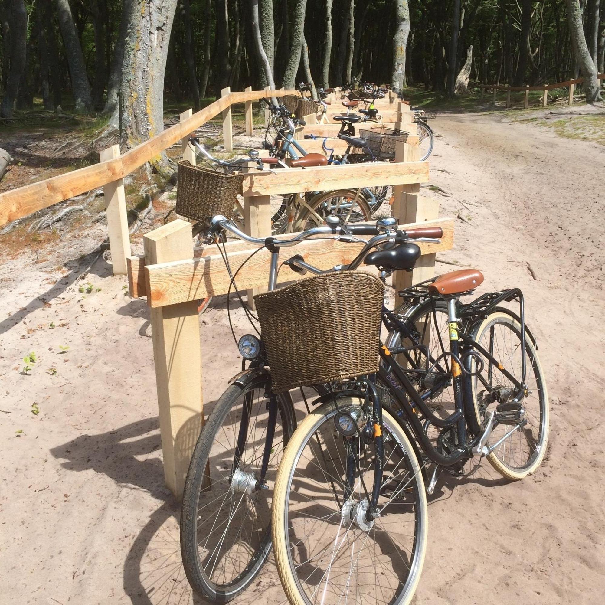Apartmán Whg 01 - Koje M Zingst Exteriér fotografie
